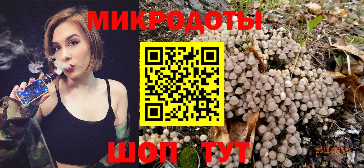 Галлюциногенные грибы GOLDEN TEACHER Фрязино